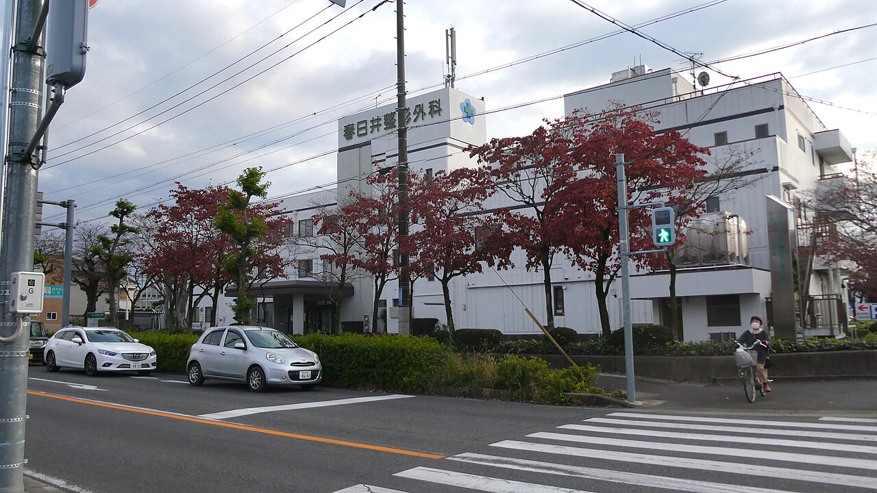 Orthopedics